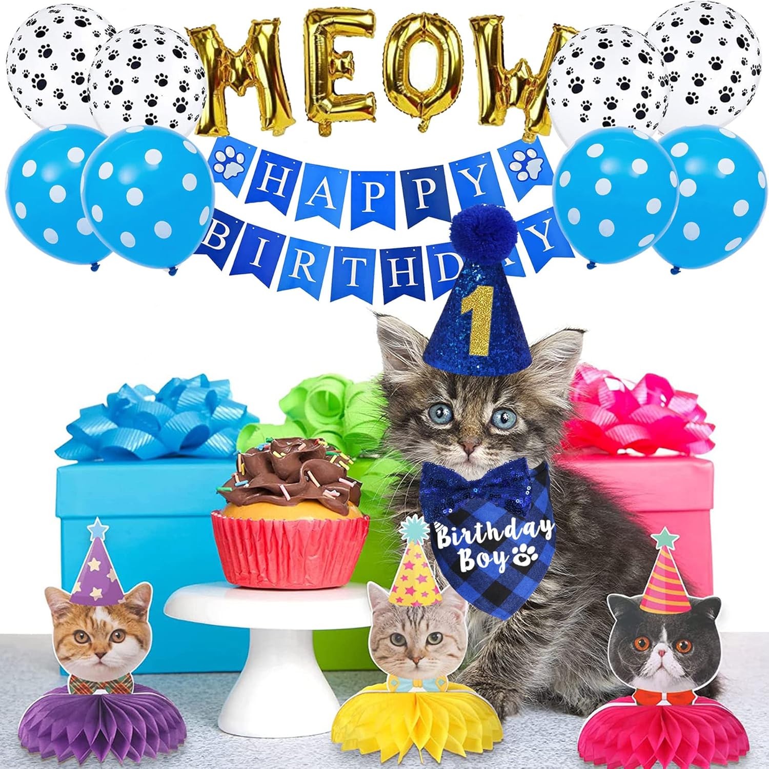 Complete pet birthday party supplies box contents overview
