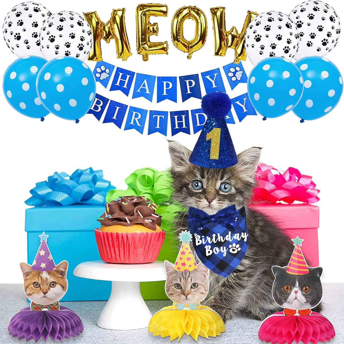 Complete pet birthday party supplies box contents overview