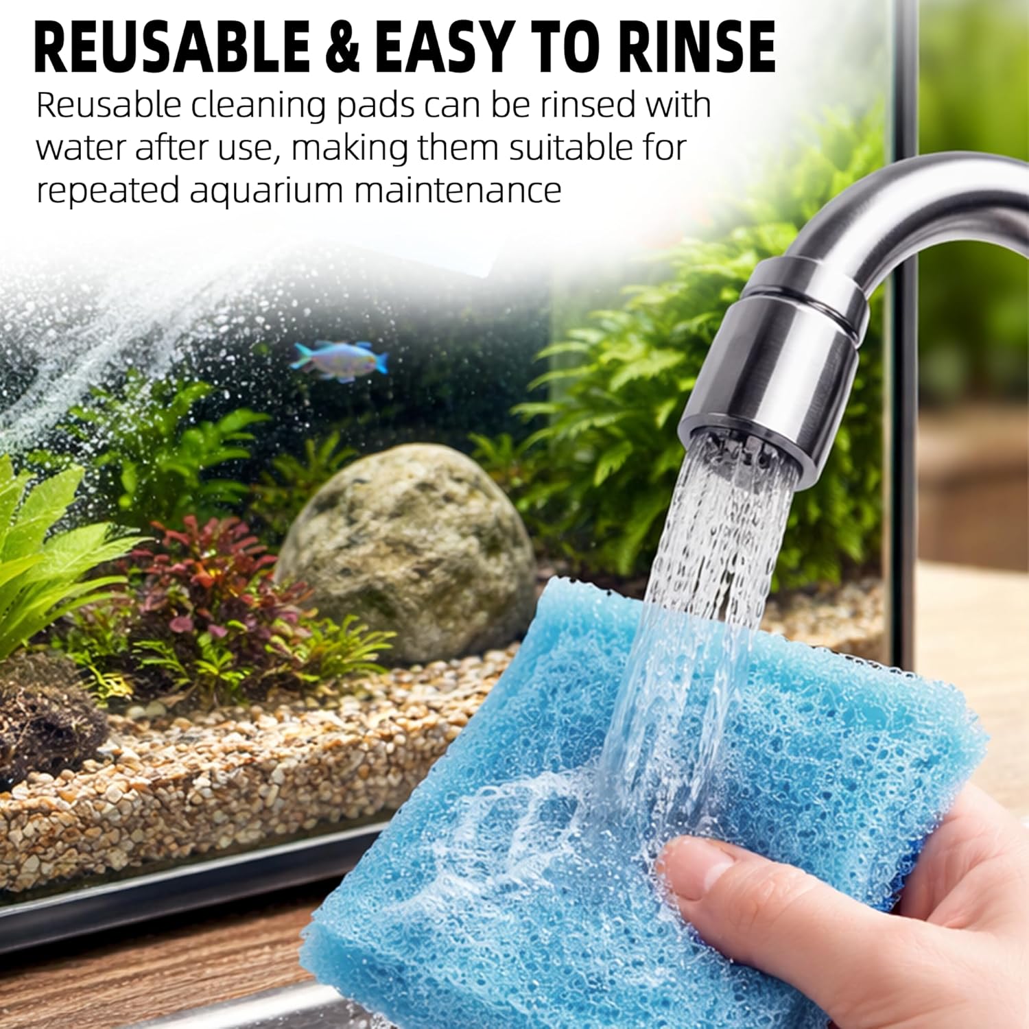 Algae removal tool for fish tank walls package view