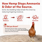 RentACoop natural odor control hemp bedding texture detail