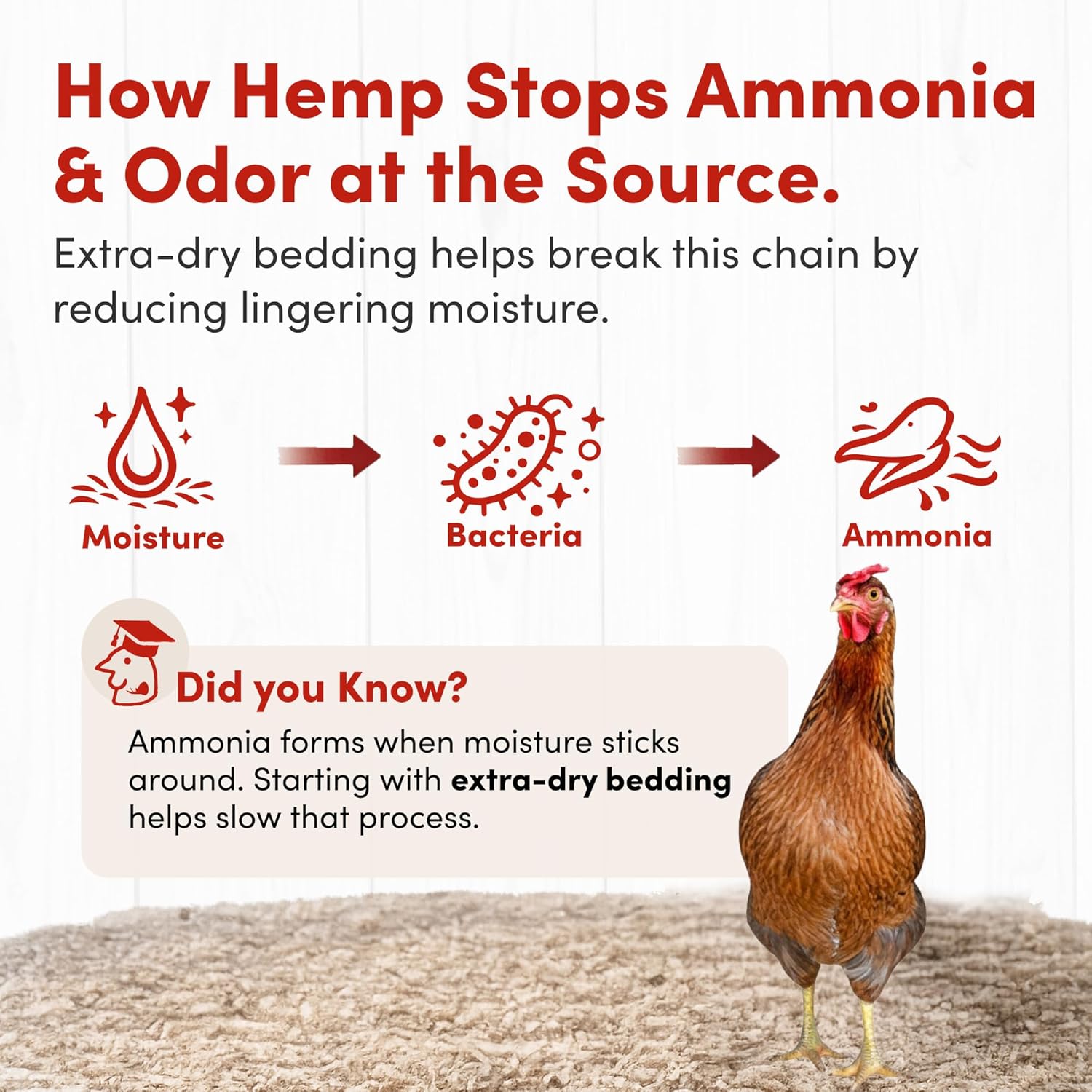RentACoop natural odor control hemp bedding texture detail