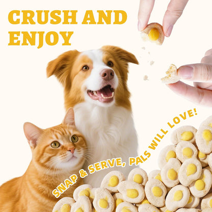 Wellix freeze dried food topper crumbled over pet kibble
