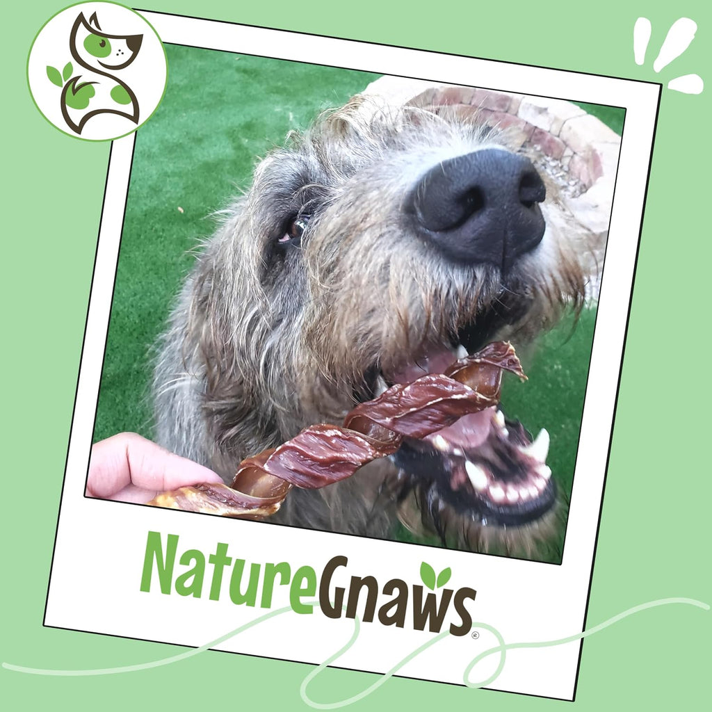 Authentic Nature Gnaws beef chews packaging
