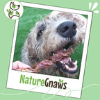 Authentic Nature Gnaws beef chews packaging