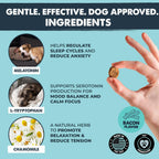 Mighty Paw vet formulated sleep aid for puppies and large dogs