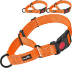 Haapaw beige nylon martingale collar pack of two for large dogs