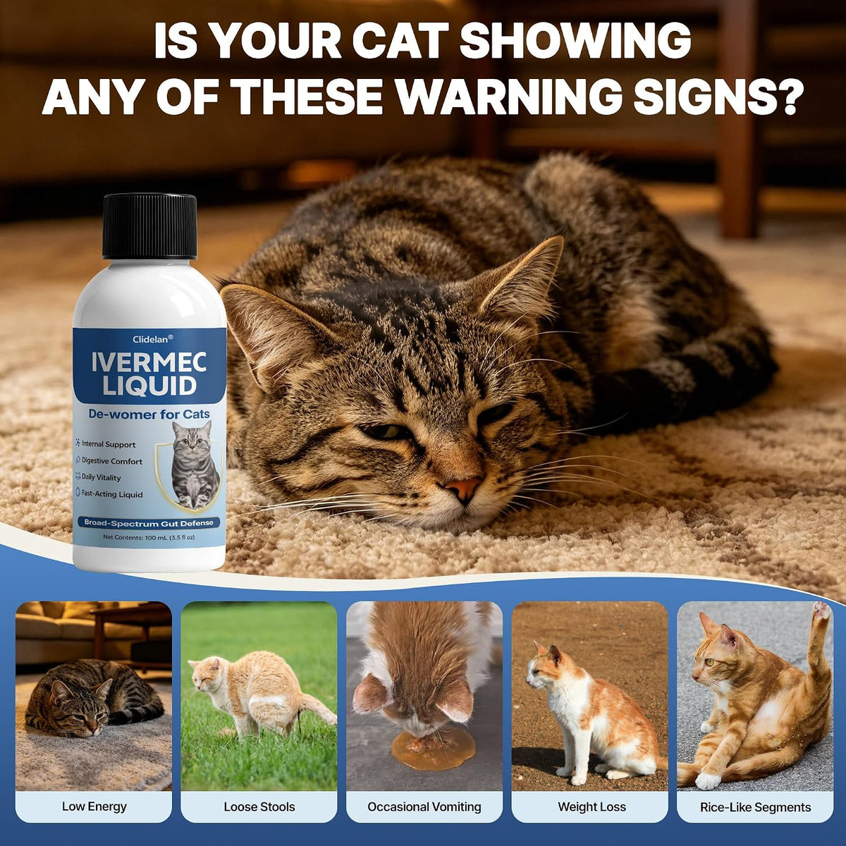 Clidelan feline gut safeguard liquid packaging box details