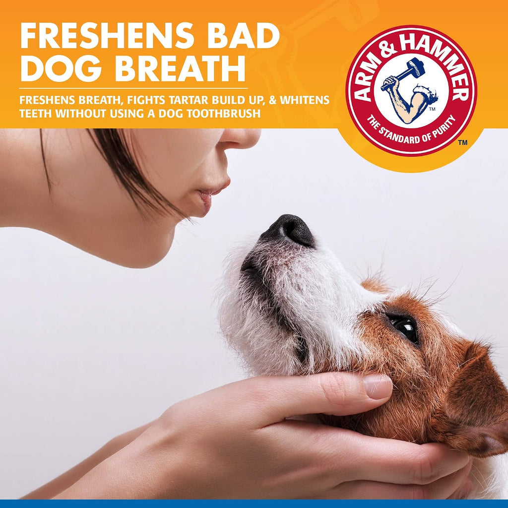 Back label of Arm And Hammer dog dental spray showing directions
