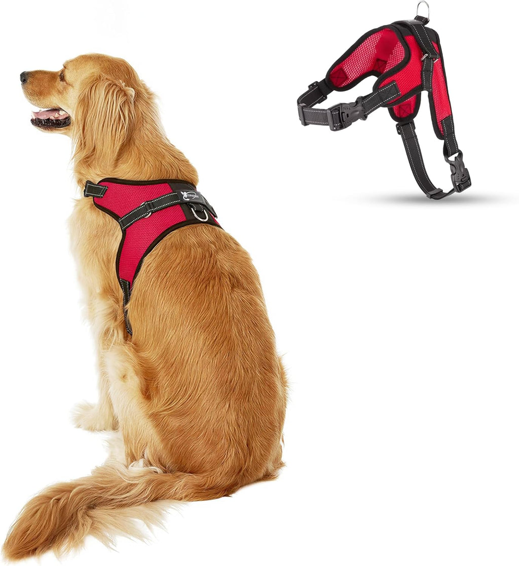 No Pull Reflective Adjustable Dog Harness with Handle- Comfortable Soft All Weather Mesh, Easy On Puppy Harness for Small Medium and Large Dogs (Red) Small - Image 12