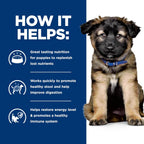 Gastrointestinal support puppy food imported from the USA for sensitive stomachs