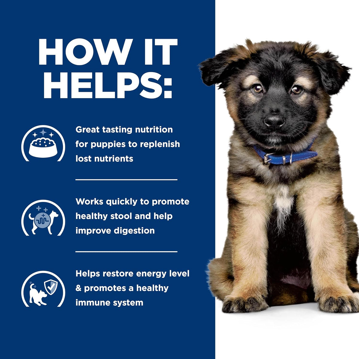 Gastrointestinal support puppy food imported from the USA for sensitive stomachs