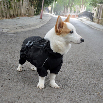Authentic imported dog rain gear with comfortable flexible fit for pets