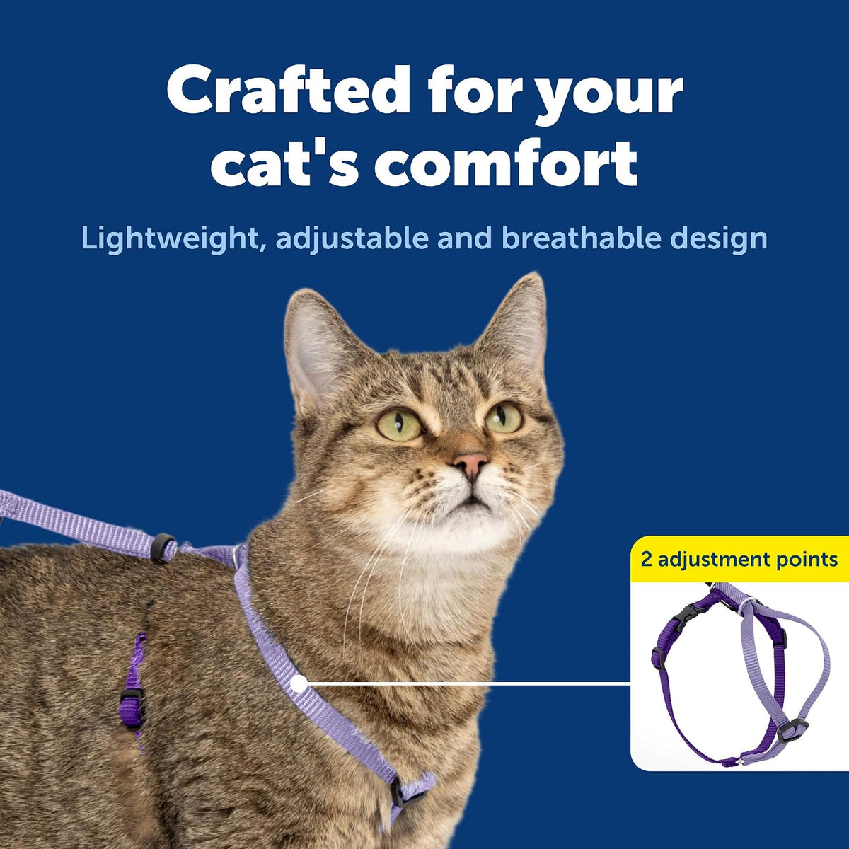 Attached stretchy bungee leash paired alongside the medium lilac cat harness