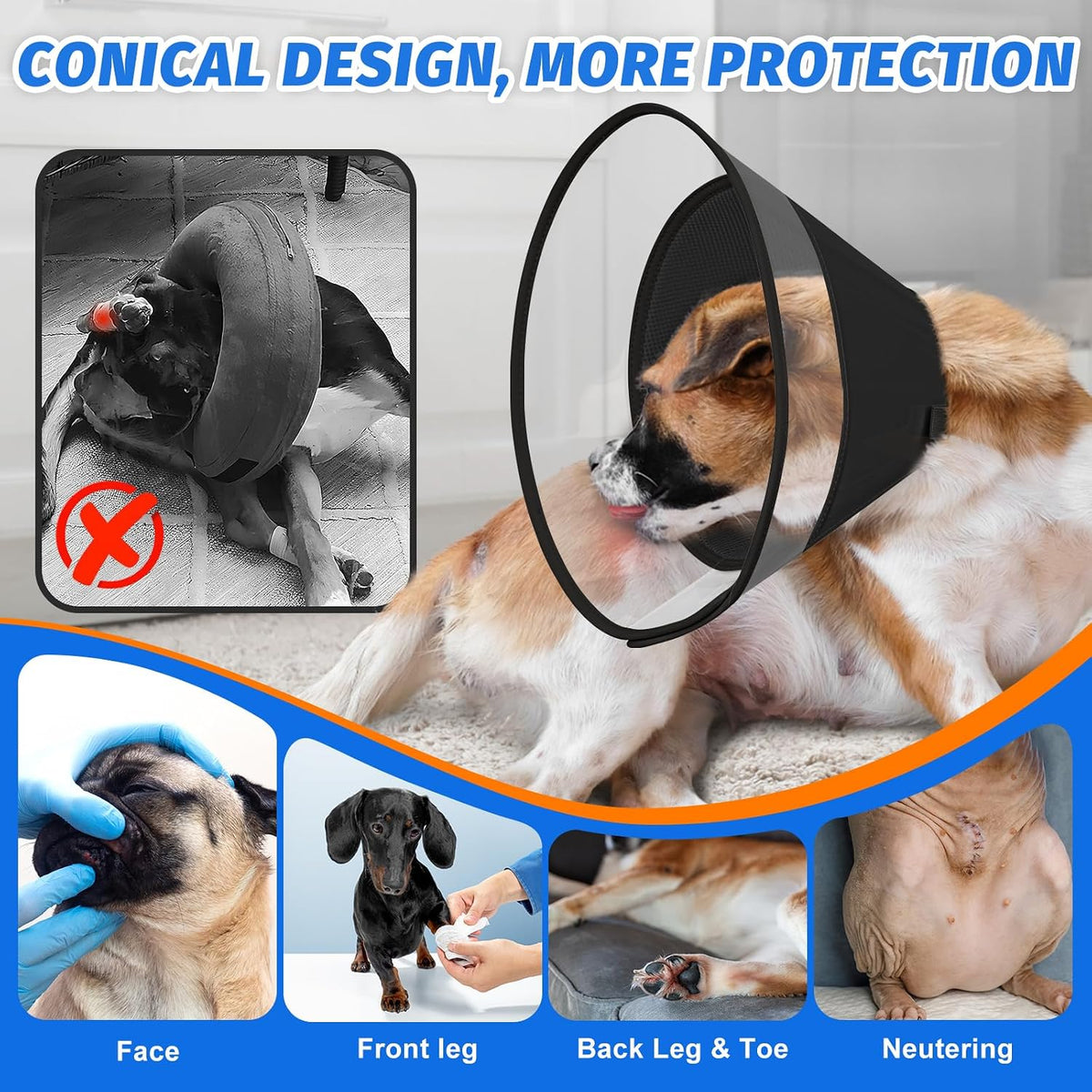 Joypig elizabethan recovery collar side view soft padding clear plastic