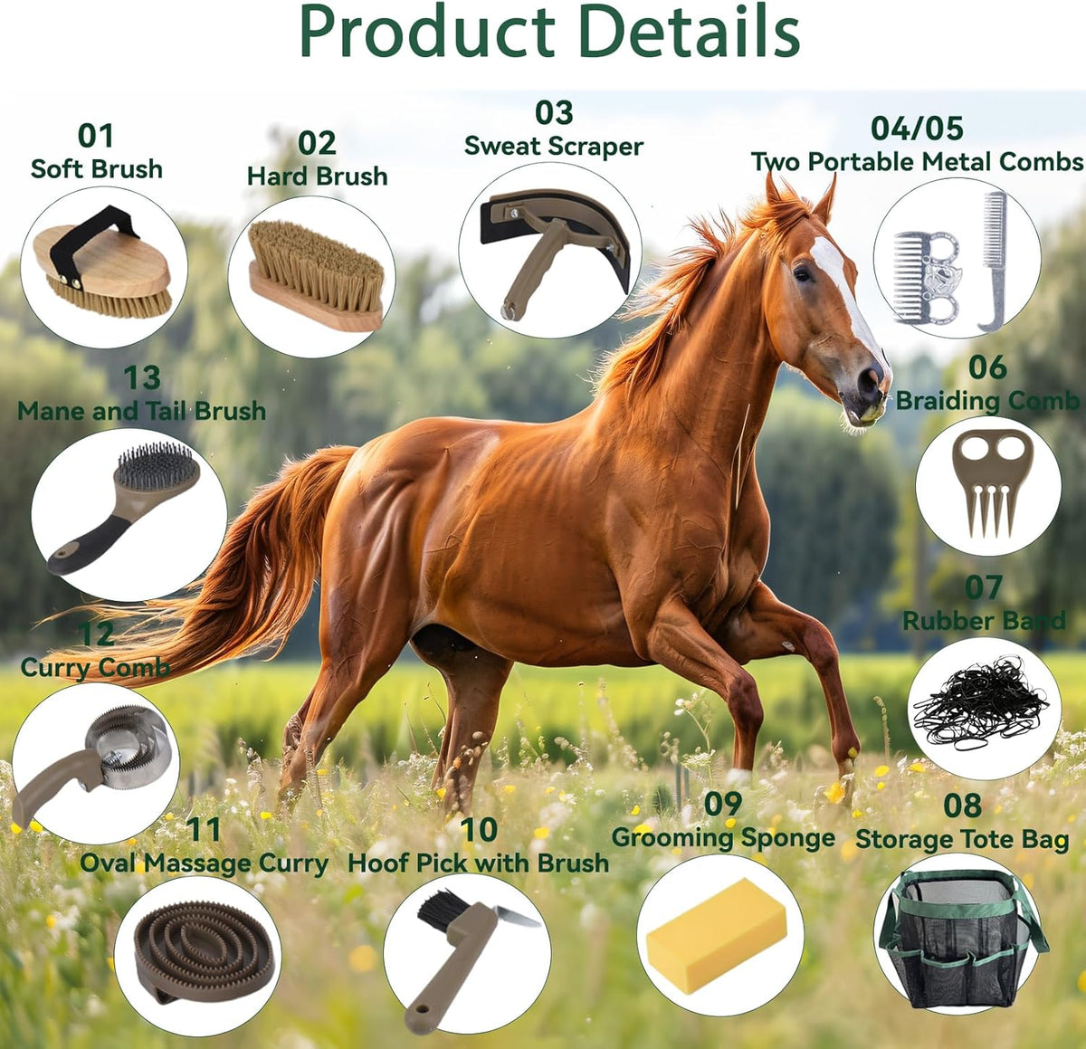 Terpup horse grooming brushes and curry comb set