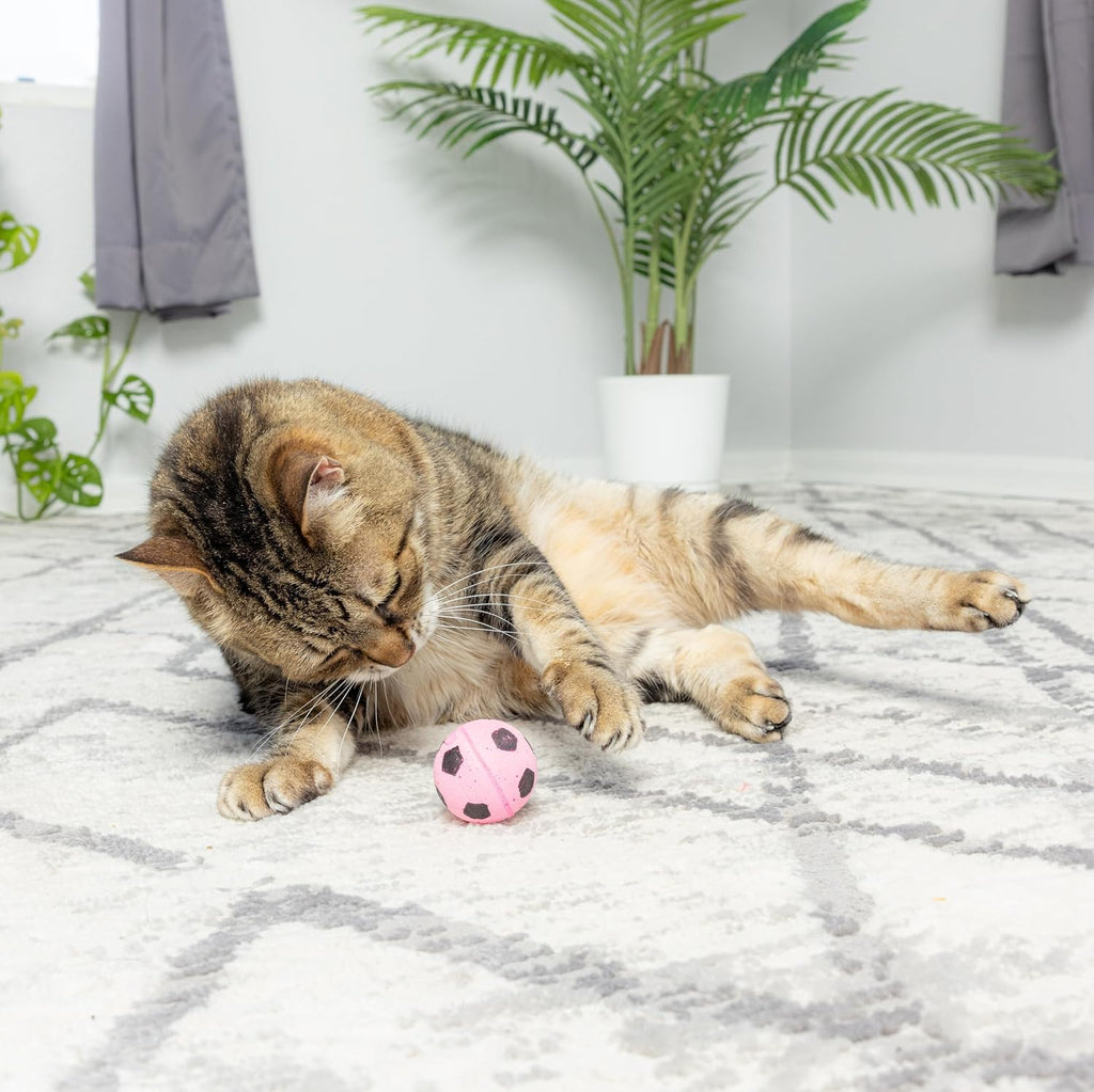 Four pack of authentic Spot sponge soccer balls cat toys for indoor play