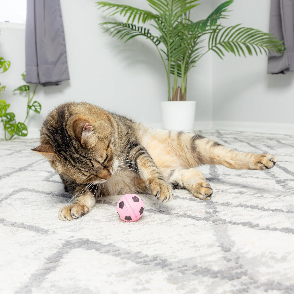 Four pack of authentic Spot sponge soccer balls cat toys for indoor play