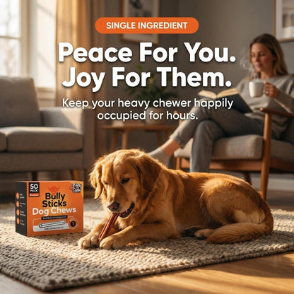 Thick premium quality digestible beef pizzle sticks for power chewing breeds.