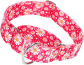 ONEFOJOJO martingale dog collar front view heavy duty training collar
