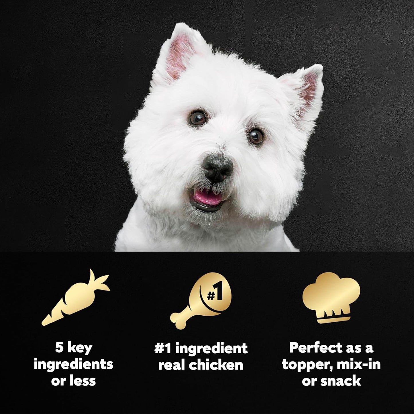 Cesar Simply Crafted Chicken wet dog food topper single tub details