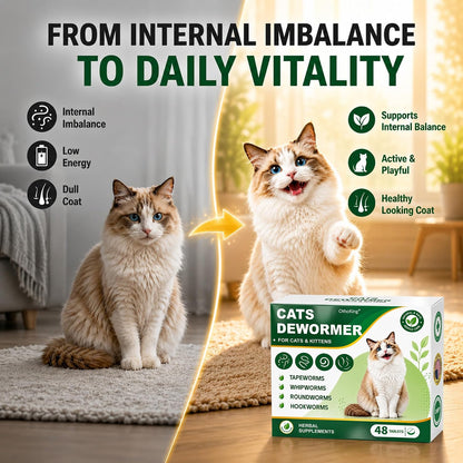 OthoKing roundworm and tapeworm digestive health supplement for adult cats.