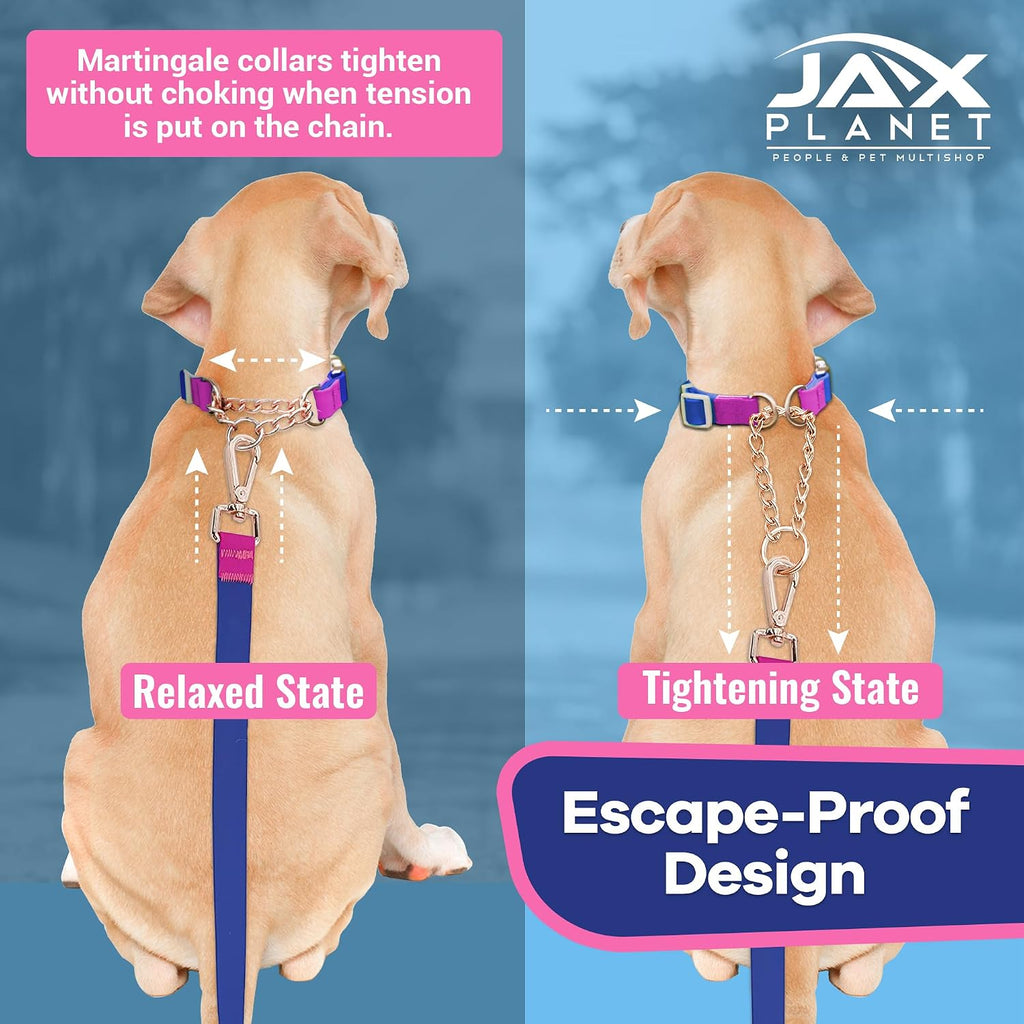 Close up shot of the heavy duty D-ring and exquisite stitching on the escape proof JAX PLANET martingale collar