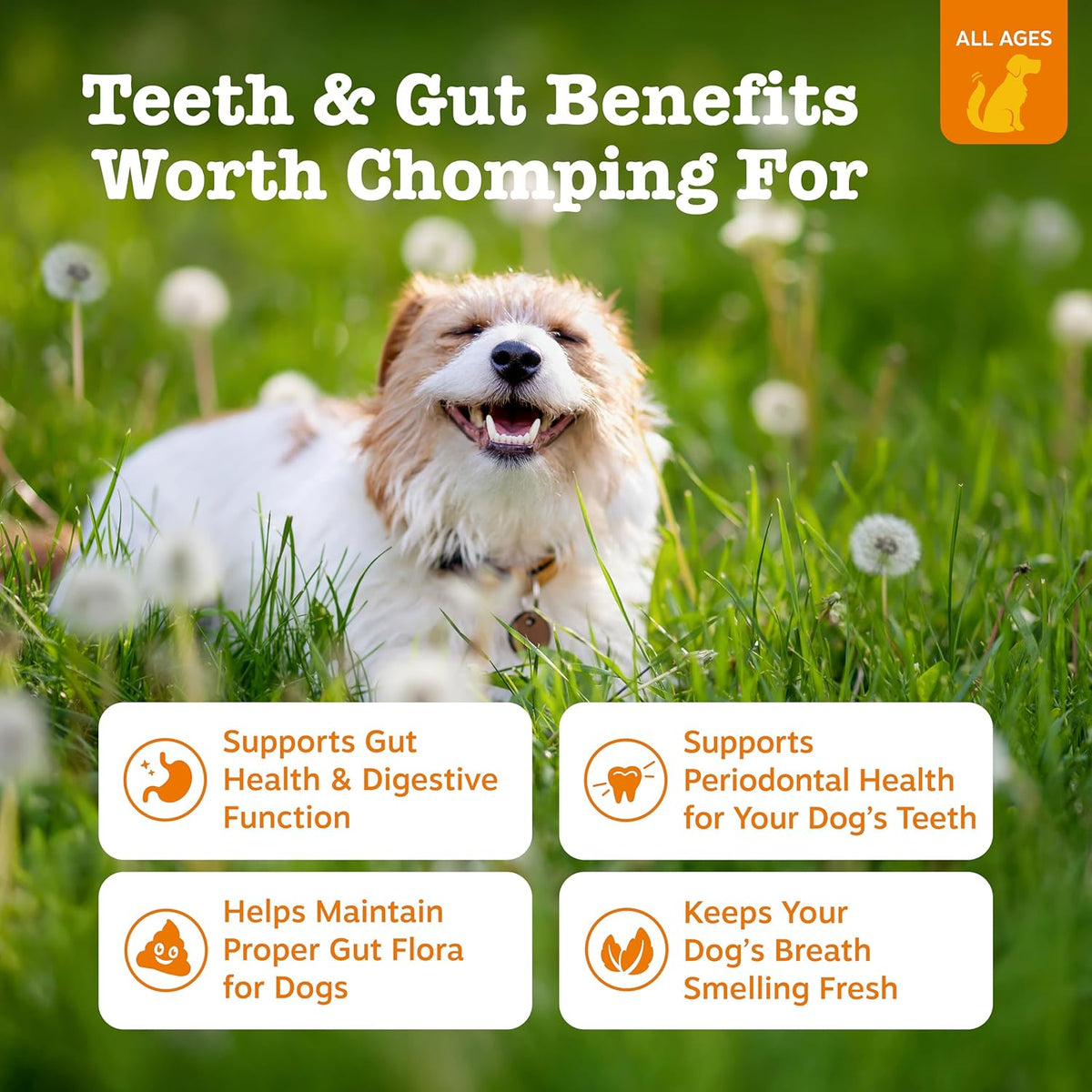 Zesty Paws Hemp Elements dental chews showing peppermint flavor details and ingredient highlights.