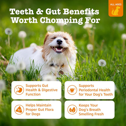 Zesty Paws Hemp Elements dental chews showing peppermint flavor details and ingredient highlights.