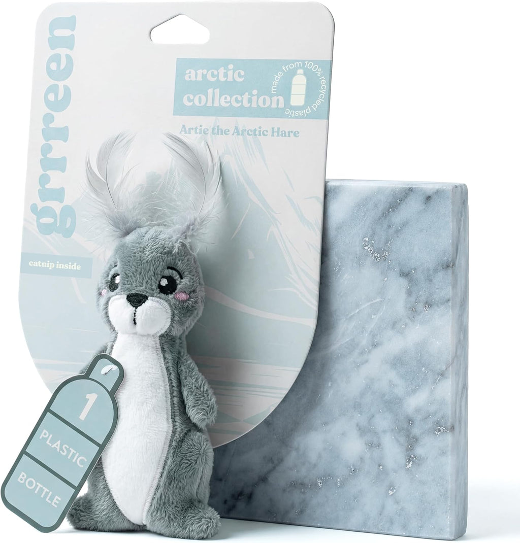 GRRREEN plush fish puzzle toy resting inside a modern pet basket to demonstrate its compact size.