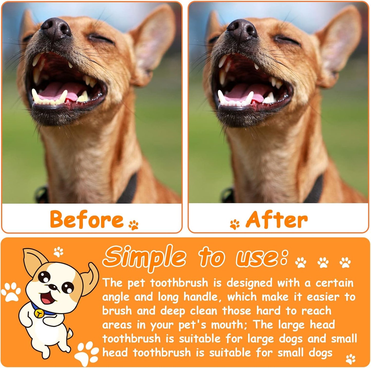 Honeydak pet grooming kit showing ergonomic handle length and design.