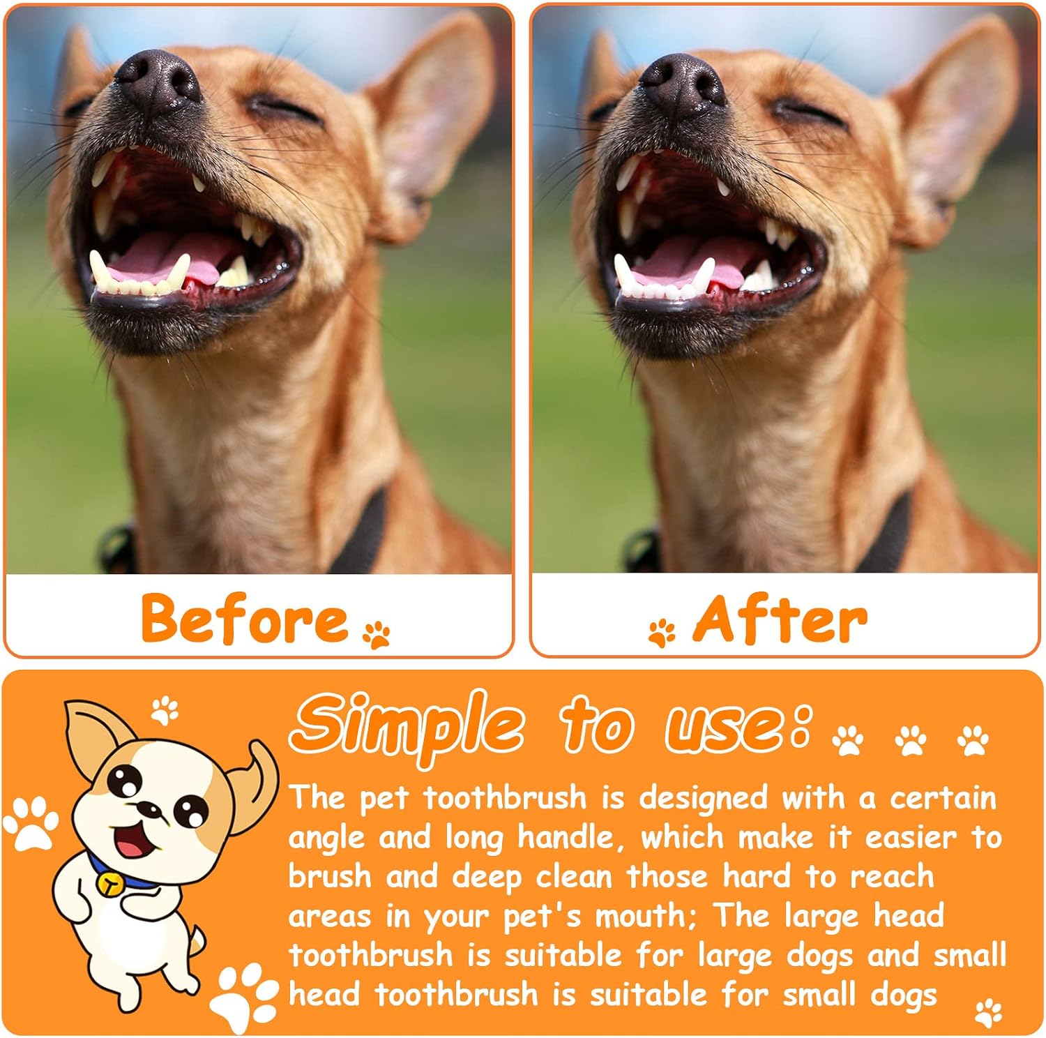 Honeydak pet grooming kit showing ergonomic handle length and design.