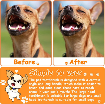 Honeydak pet grooming kit showing ergonomic handle length and design.