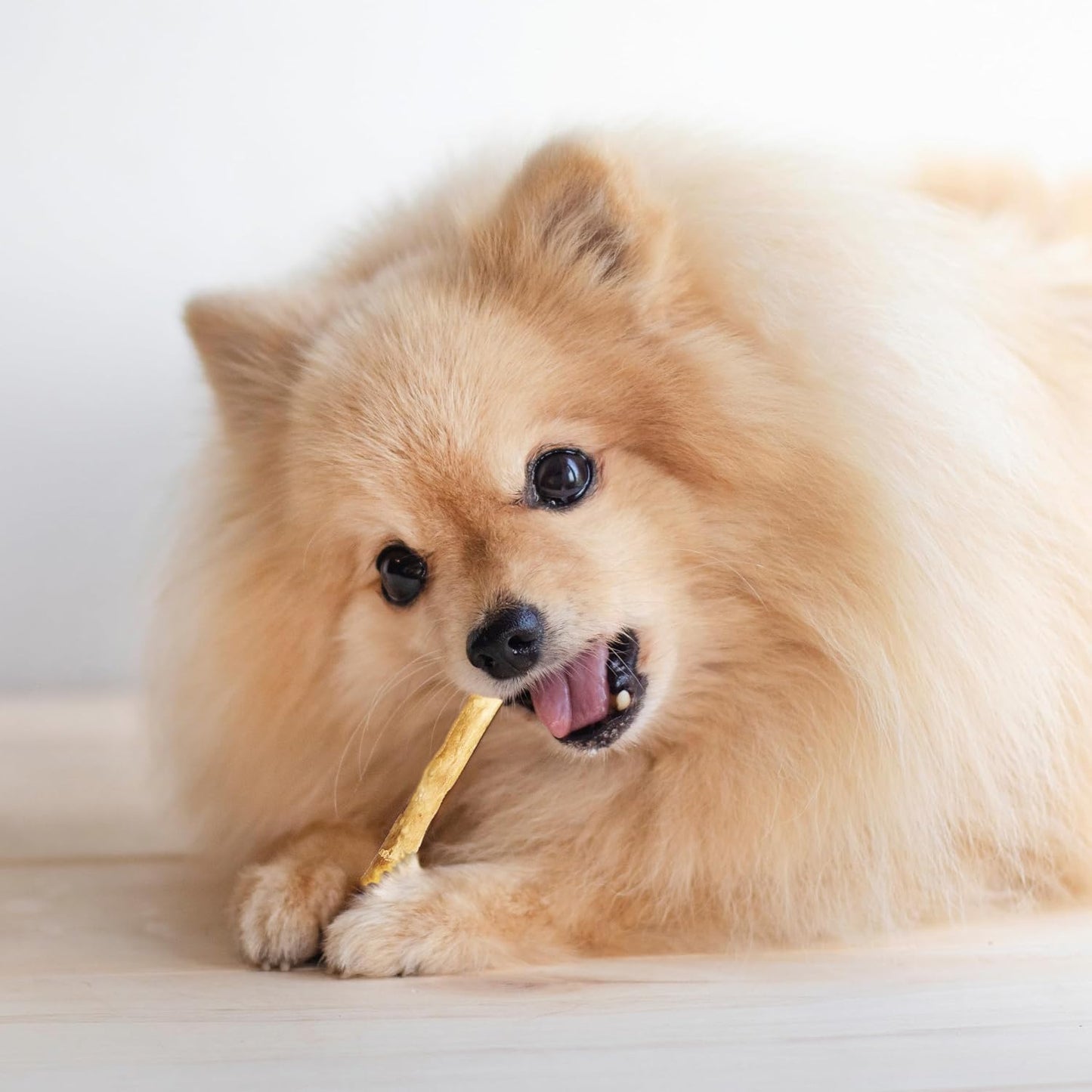 Fieldcrest Farms Nothin' to Hide Twist Stix, Beef Flavor, Easily Digestible, Supports Skin, Coat, Joints & Muscles, for Moderate Chewers Under 15lbs, 50 Pieces - Image 10