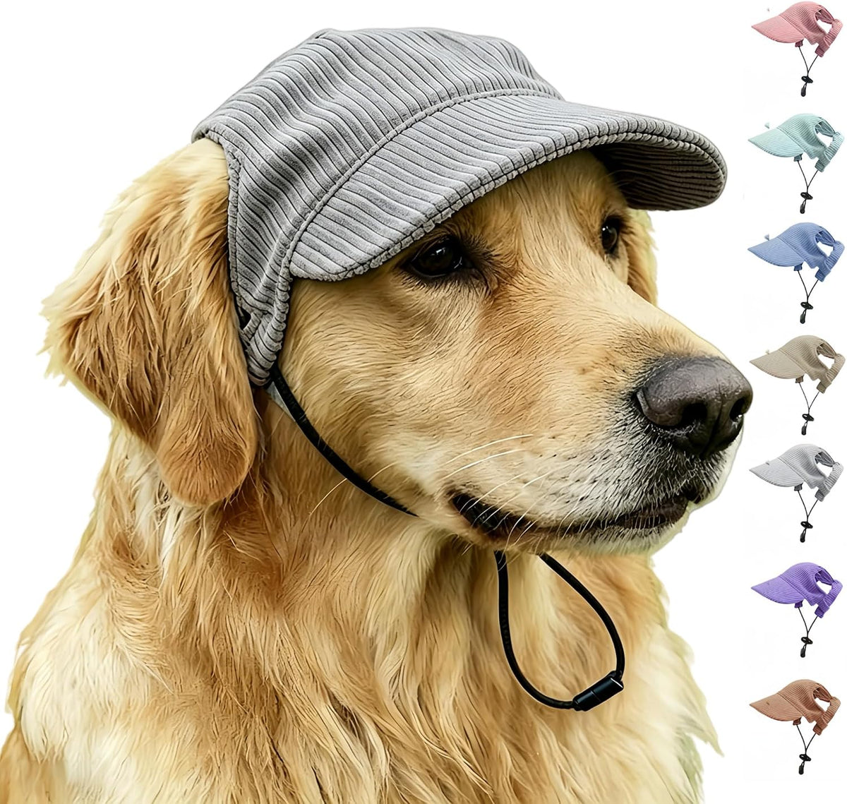 Multi color sun visor pet hat showing brim shape