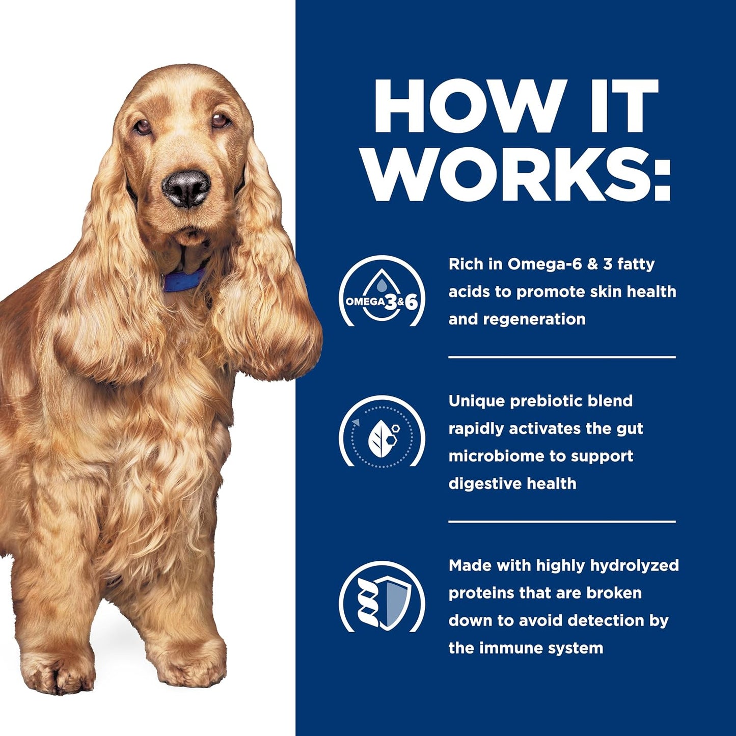 Authentic USA imported Hill's prescription diet canine wet food.