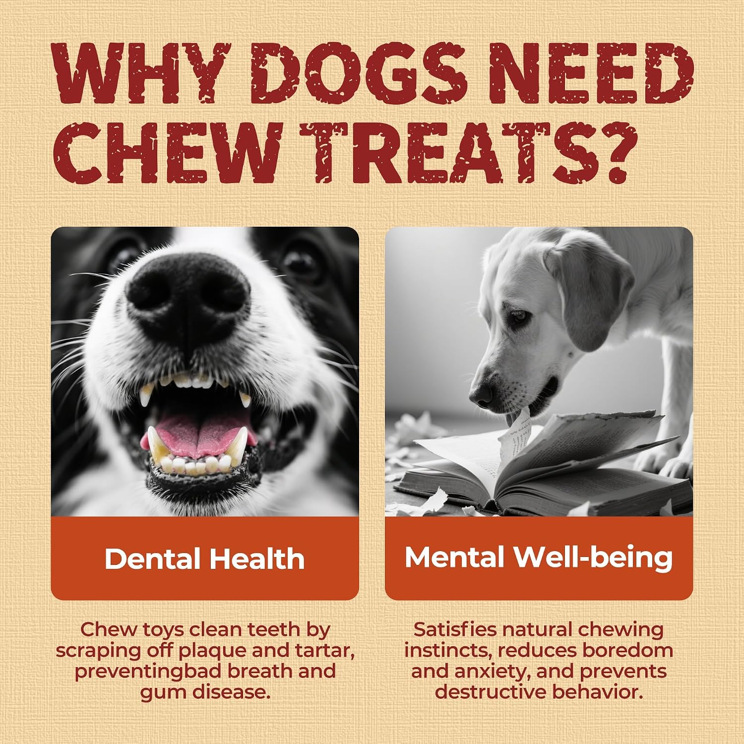 Beloved Pets premium imported dog bones for training and anxiety relief