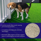 Close up view of highly absorbent turf deodorizer granules for pet urine neutralization