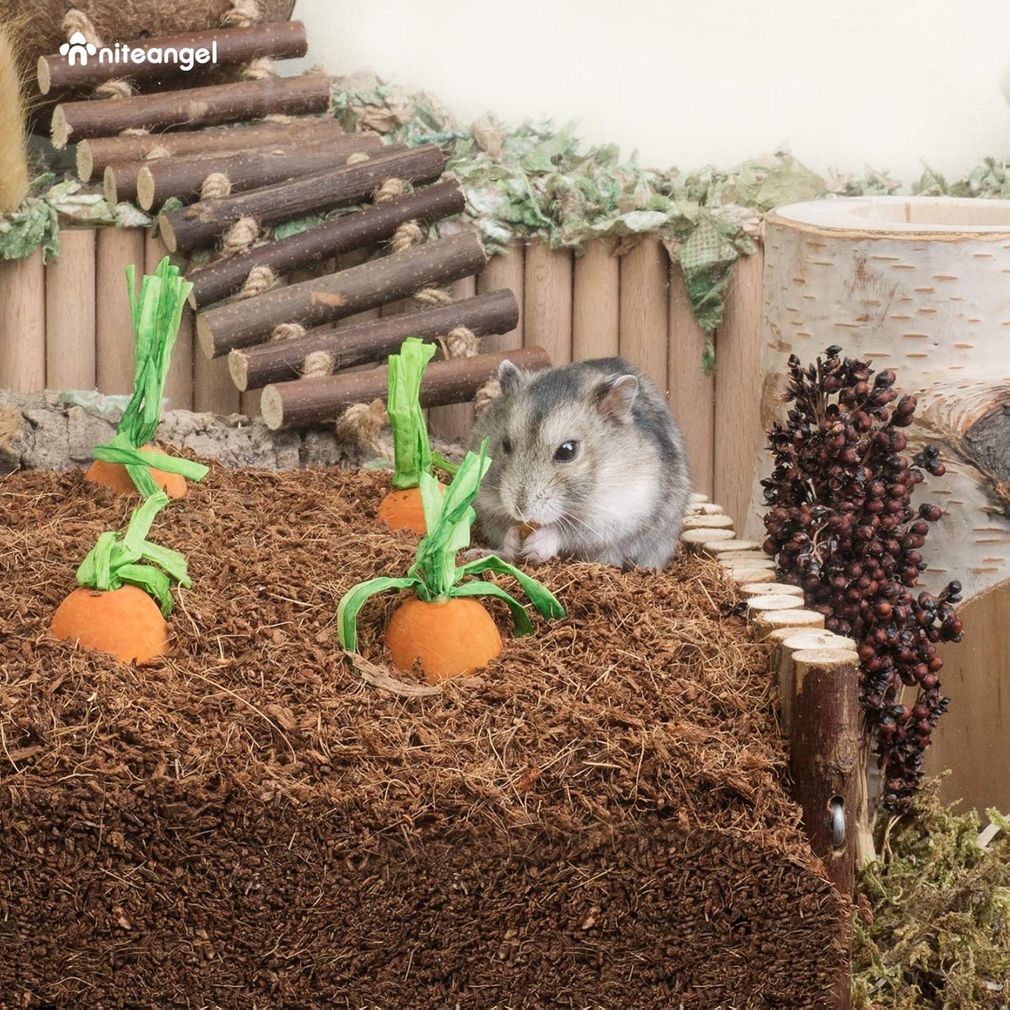 Niteangel hamster bedding used in a naturalistic glass tank enclosure