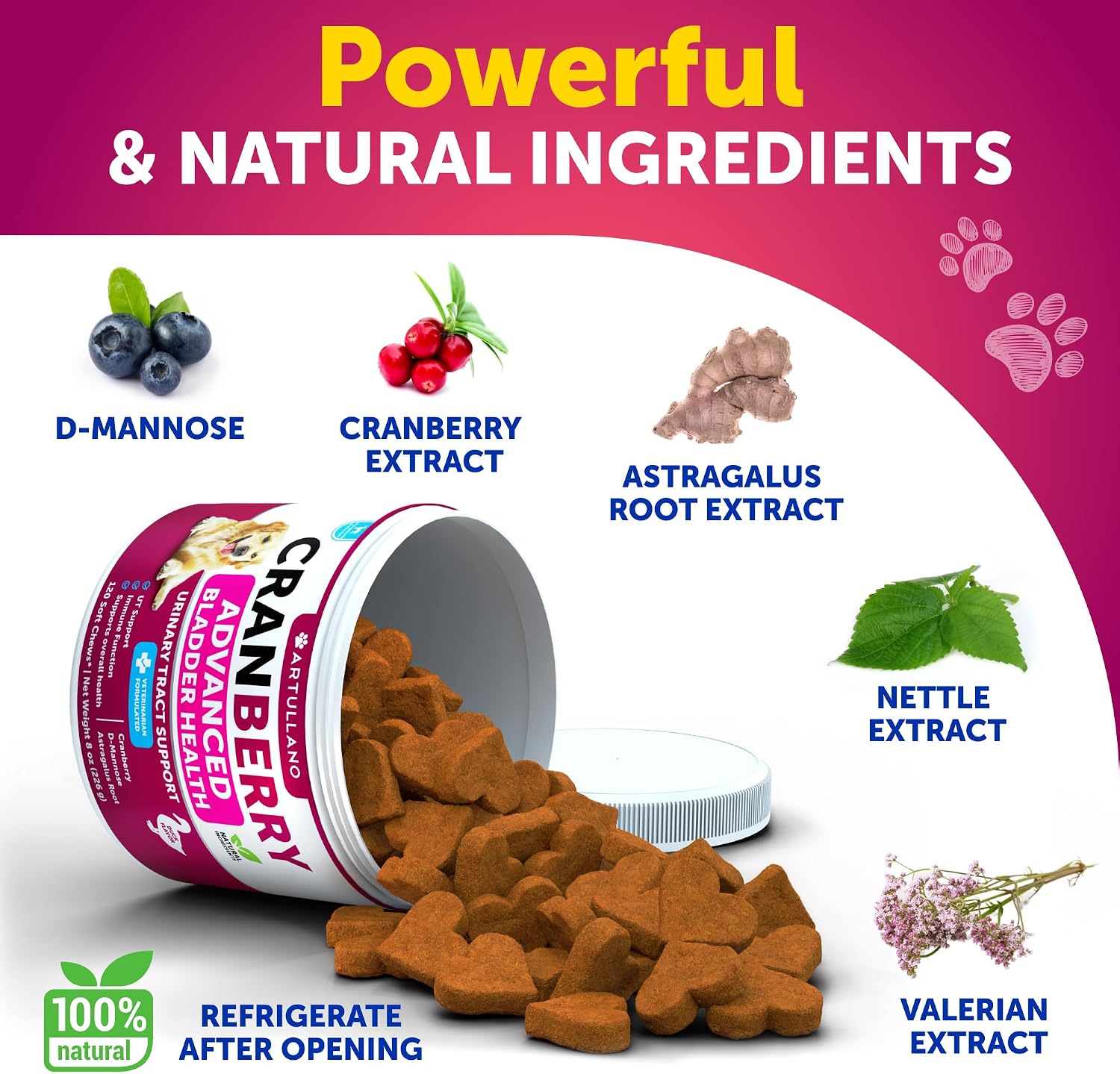 Close-up of Artullano veterinarian-formulated dog urinary tract health daily wellness chews.
