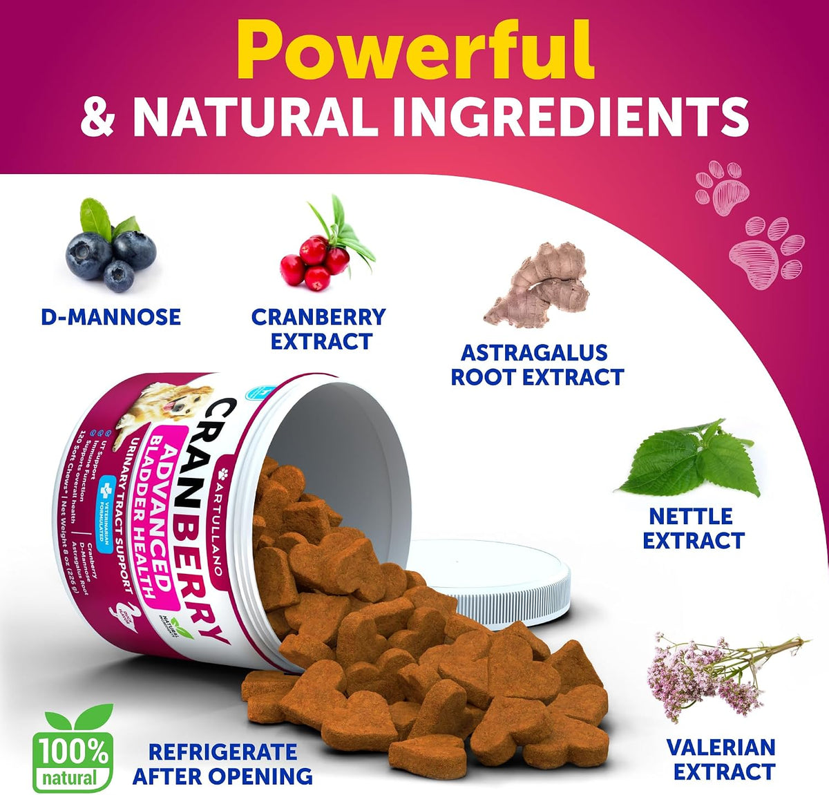 Close-up of Artullano veterinarian-formulated dog urinary tract health daily wellness chews.