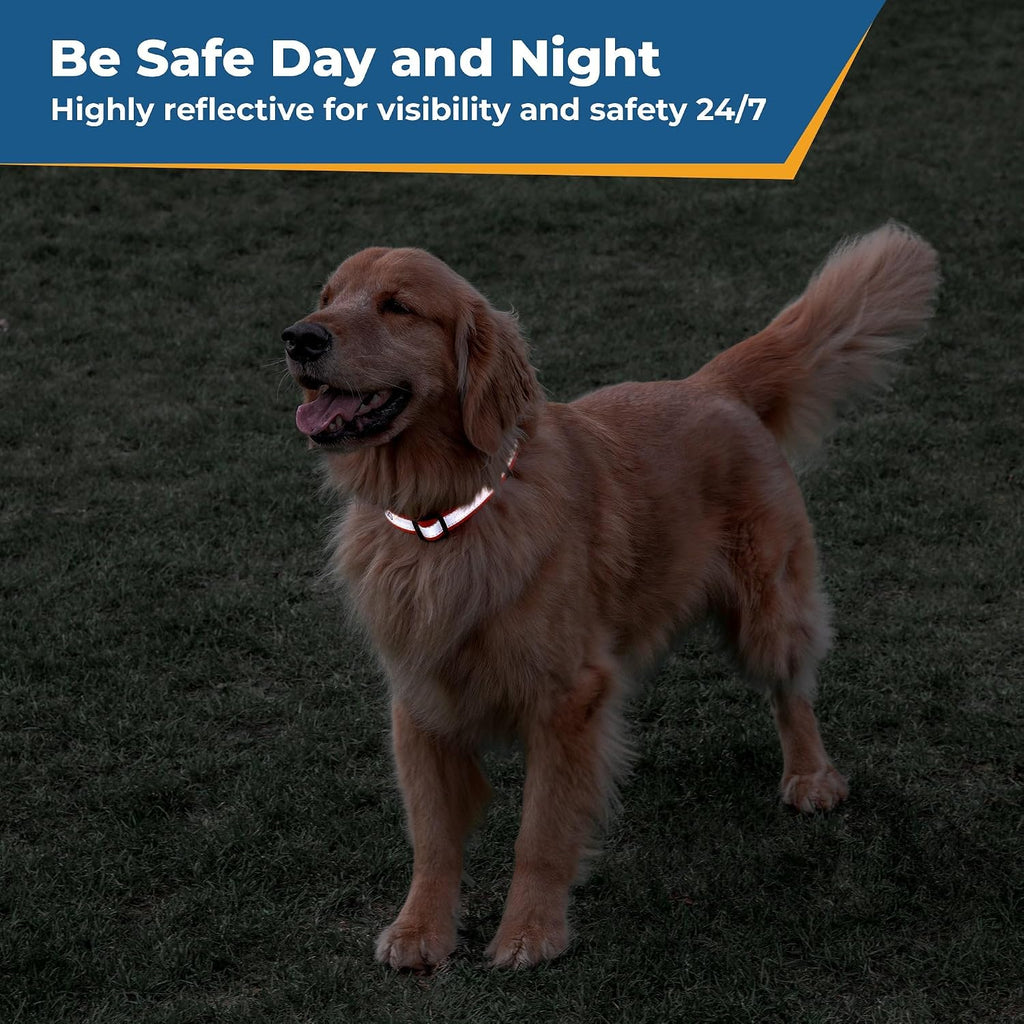 Close up of reflective strip on GoTags personalized pet collar