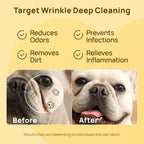 HICC PET dog cleaning and deodorizing wipes container top angle