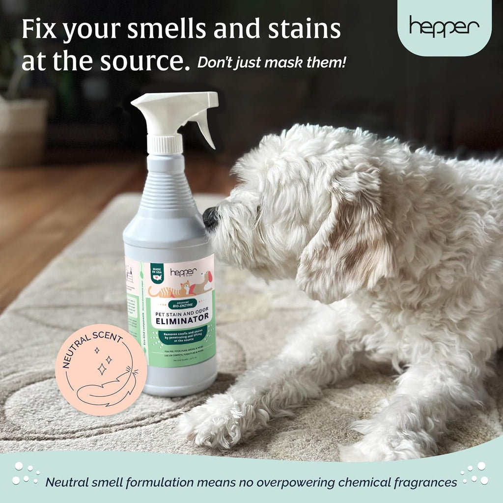 Safe family friendly pet mess remover spray on living room rugs and furniture.