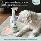 Safe family friendly pet mess remover spray on living room rugs and furniture.