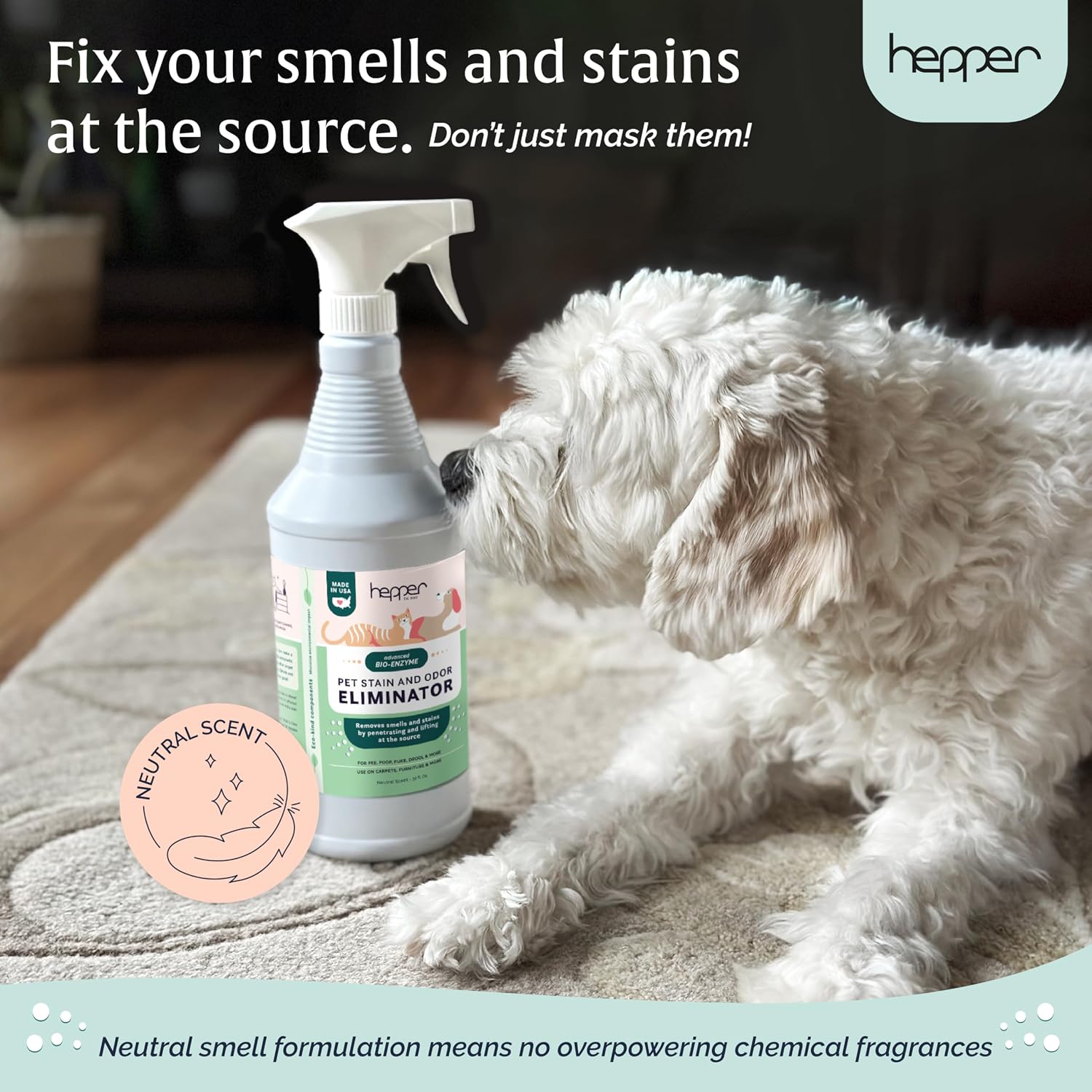 Safe family friendly pet mess remover spray on living room rugs and furniture.