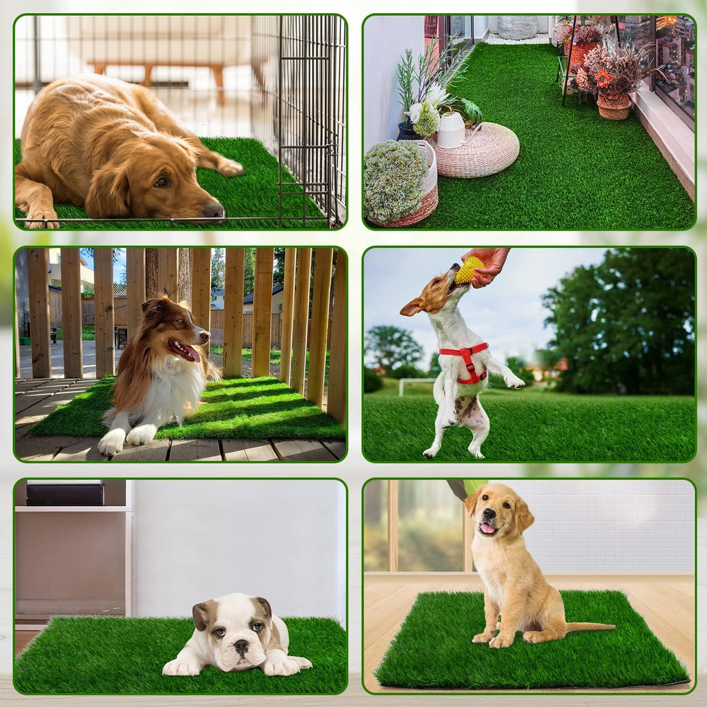 Side profile of non-toxic pet grass for medium dogs