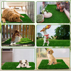 Side profile of non-toxic pet grass for medium dogs