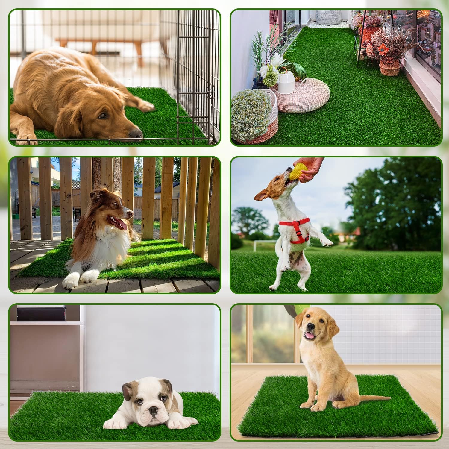 Side profile of non-toxic pet grass for medium dogs