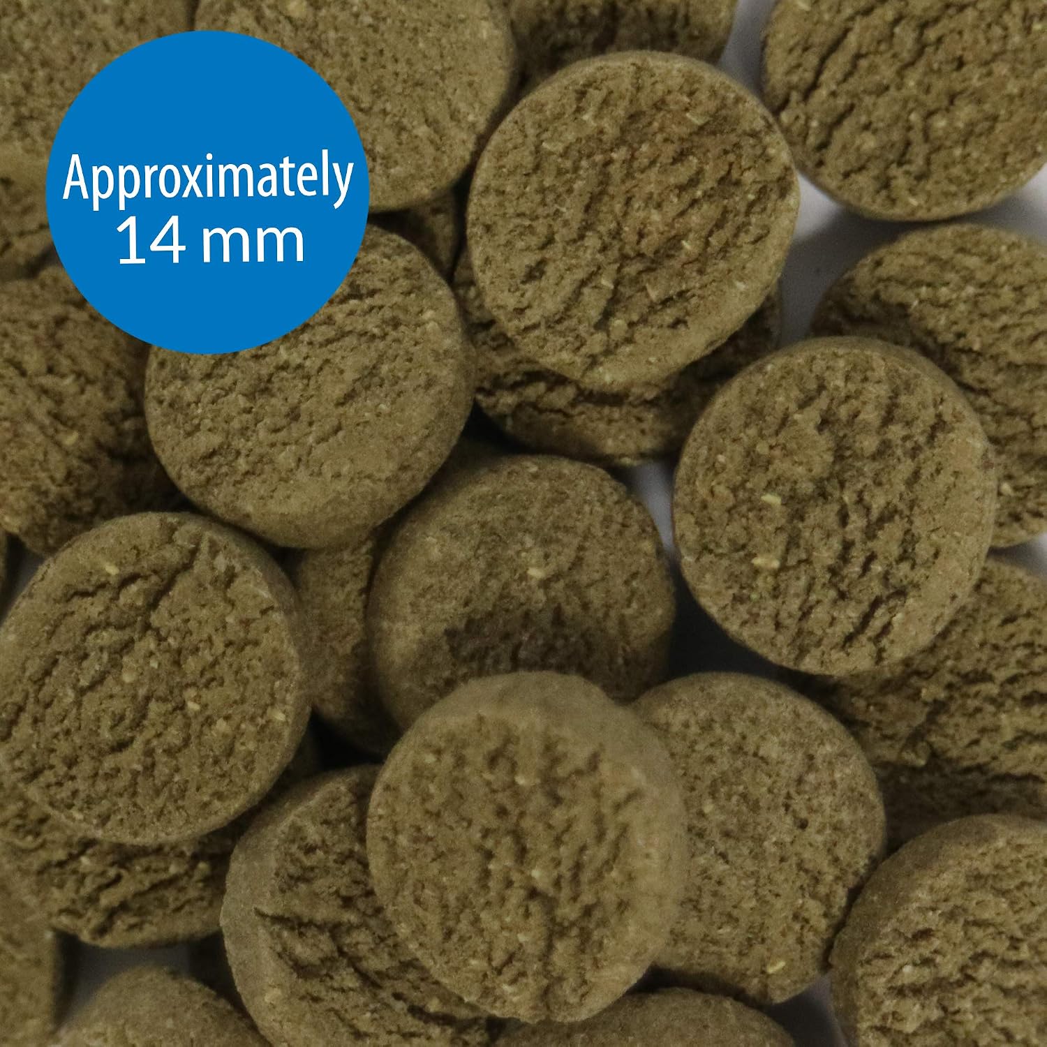 Close up of API sinking algae wafers for aquarium fish
