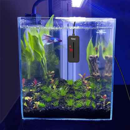 Hygger aquarium heater mounted in small fish tank